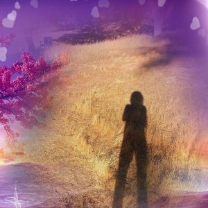 Meet your Posher, Shari